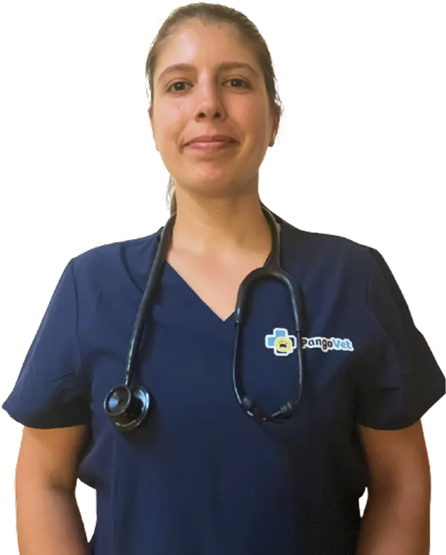 Dr. Maja Platisa